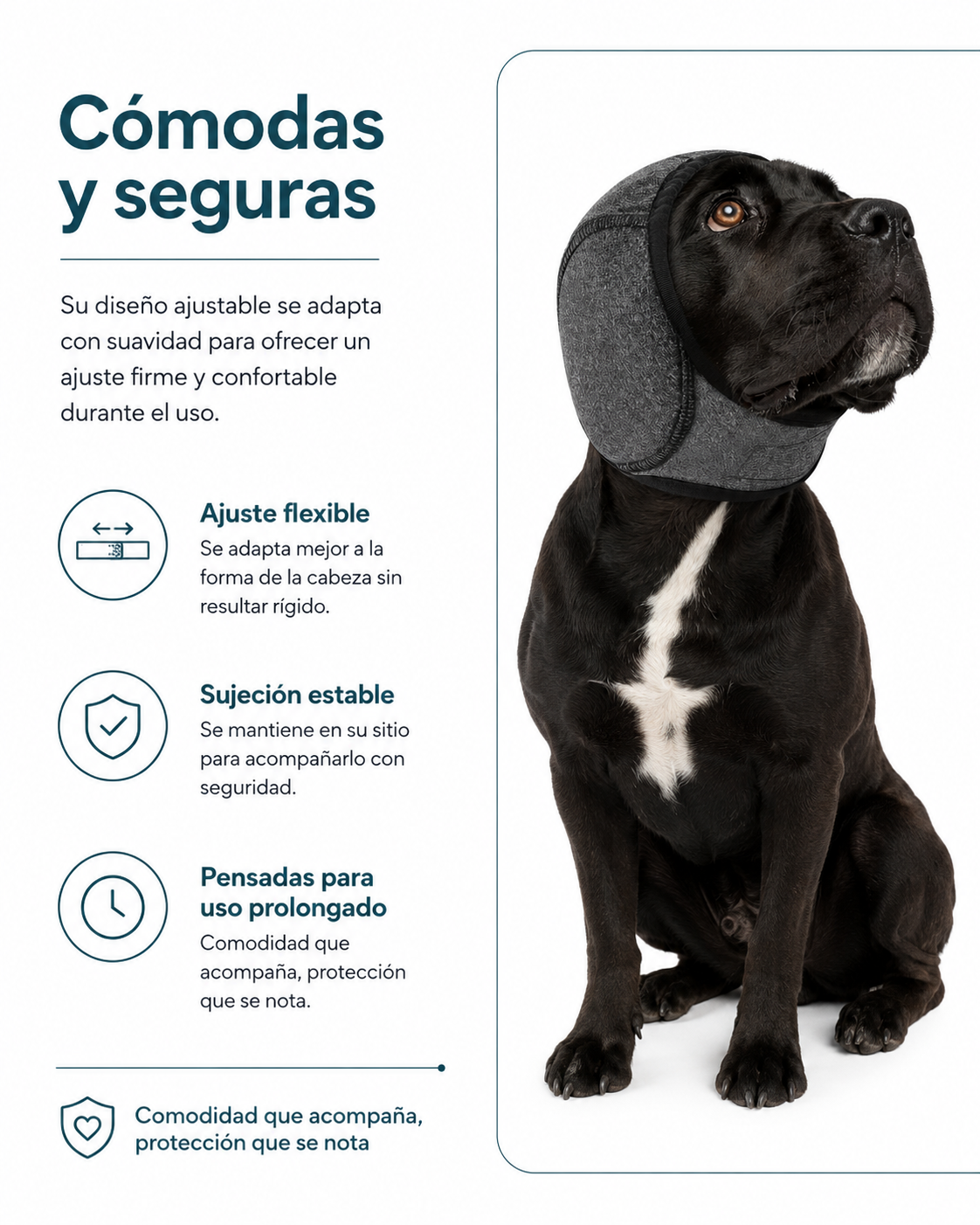 Orejeras Antirruidos Para Perros